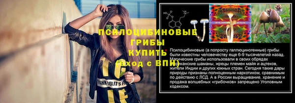 хмурый Пестово